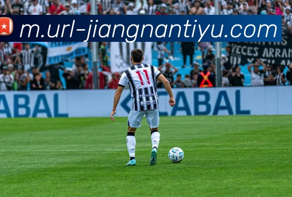 江南体育平台生态图