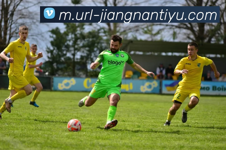 奖项证书