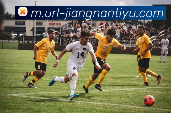 数据防护可视化